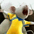 A 50x50 pixel animated buddy icon featuring a cartoon mouse character in yellow clothing on the left and green text reading "Original Icons .com" on the right, displayed as a contact sheet with two frames.