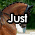 A four- shows a horse and rider in various equestrian scenes with overlaid text: 'Just', 'Ask And', 'Try', and an empty
