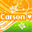 Pixelated orange and green background with white starbursts, displaying 'Carson' text in two color variations.