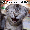 A cat with closed eyes and an open mouth appears in four with varying text overlays