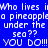 Blue background with white pixelated text repeating 'Who lives in a pineapple under the sea?? YOU DO!!!' in two