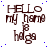 Brown text reading "HELLO my name is helga" on white background with scattered blue dots, arranged in a of repeated identical
