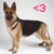 Pixelated German Shepherd dog standing with tongue out, pink heart symbol <3 in top-right corner on light gray background.