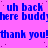 Blue text on a pink background repeats 'uh back here buddy' and 'thank you!' in a pattern with small dark dots scattered across the surface