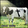A cow with black spots and a cross on its side stands in grass under a halo, text below reads 'HOLY COW!'