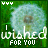identical dandelion icons with green backgrounds, each displaying 'wished FOR YOU' text in white and green lettering