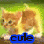Two side-by-side pixelated cat images with text labels; left shows orange tabby cats on green background, right shows gray kitten and person on brown background.