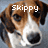 Pixelated image of a dog's face with brown and white fur, black nose, and dark eyes, overlaid with white text reading 'Skippy' against a gray background.