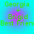Green text reading 'Georgia + Brigid Best Friend' on a cyan background with purple gradient circles, displayed in four identical