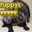 Six pixelated dog images arranged in a , each with colored text overlays and heart-shaped icons