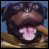 iconhell_triumph
