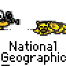 Animated contact sheet of National Geographic-themed buddy icons featuring yellow cheetahs and a stick-figure photographer in various poses against gray background.