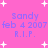 Pink background with white starbursts and repeated blue text reading "Sandy feb 4 2007 R.I.P." in four identical quadrants.