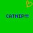 Green background with orange pixelated heart symbol above blue pixelated text reading 'CATNIP!!!' on both sides.