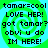 Four identical display pixelated text over a green and cyan spiral background with no visible animation changes