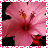 iconhell_makeupqueen5_flowa
