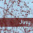 A light blue background with red branching patterns and repeated 'Jiny' text in white on dark brown bars, showing animation changes in dot positions.