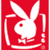 White rabbit silhouette with long ears and a bow tie on a solid red background, enclosed within a white rectangular border.