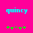 Cyan text 'quincy' on bright pink background with green and brown pixelated symbols below, two identical frames showing animation change in symbol positions.