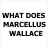 Pixelated text asks 'WHAT DOES MARCELLUS WALLACE LOOK LIKE?' above a blurred image of a man in a suit and tie.