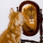 A ginger cat with white paws stands before a brown-framed mirror, its reflection visible; pink text appears above the mirror in different frames.