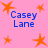 Pink background with orange star shapes and blue text reading Casey Lane repeated four times.