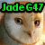 A four- of an owl's face with changing text overlays in green, blue, and pink