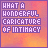 25 identical pixelated displaying the phrase "WHAT A WONDERFUL CARICATURE OF INTIMACY" in purple text over an orange gradient background with subtle texture