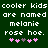 Green background with white pixelated text repeating 'cooler kids are named melanie rose hoe.' and two of pink/purple plus signs