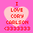 Four identical pixelated heart-shaped icons on pink background with red text reading "I LOVE CORY CARLSON <333333".