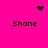 A bright pink background displays four instances of the name "Shane" in pixelated black text, with a small dark heart icon at the top center and two distinct pixelated dot patterns positioned at the top right and center.