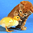 A pixelated image shows a brown cat and yellow duckling on blue background with green text reading 'dont worry' and 'i dont bite!!!'.