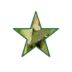 A green star-shaped icon with light brown accents rotates clockwise across on a gray background