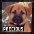 identical puppy images with 'PRECIOUS' text, where some letters alternate between white and red