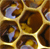 A static pixelated image with a grid of brown and gold shapes resembling abstracted animal forms, set against a dark background with light accents.