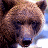 A pixelated image of a brown bear's face on the left, with a white background and golden text reading "Timothy Treadwell" alongside a stylized bear outline on the right.
