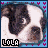 Animated contact sheet of a dog's face with changing text color, displayed in 19 frames across a 5x4 grid on a blue dotted background.