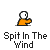 Pixelated character in orange shirt with white head spitting blue particles, text 'Spit In The Wind' below on gray background.
