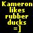 Yellow text on black background with red highlight boxes changing position across frames, displaying 'Kameron likes rubber ducks =]' in pixelated font.