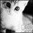 A black-and-white animated sequence of a cat's face with shifting eyes and subtle background changes, overlaid with repeated 'MEOW' text.