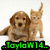 A dog and cat sit together on a white background with pixelated text overlays in green, cyan, and magenta.
