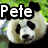A four- of a panda's face with text overlays: 'Pete' top-left, 'The' top-right, and 'Panda' bottom-left