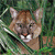 A pixelated close-up of a light brown feline face with white teeth, dark eyes, and pink nose, set against a green foliage background.
