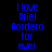 Blue pixelated text reads "I love Ariel Gordero for ever" on four distinct background colors: black, dark red, bright red, and deep red.