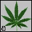 iconhell_hpinkcrayola_finishedblunt