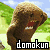 iconhell_neko_courtney_domokun