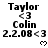Pixelated text displays Taylor, Colin, and date 2.2.08 with heart symbols; one frame shows a gray rectangle replacing the bottom-right section.