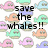 Pixelated whale pattern with overlaid text reading 'save the whales!!' and 'your mom into this] sorry: i didnt mean to bring'