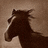 Brown horse head with white marking on face, side profile against muted brown background.