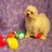Pixelated yellow chick with brown eyes and beak stands on purple background holding green, white, red, orange, and yellow objects.